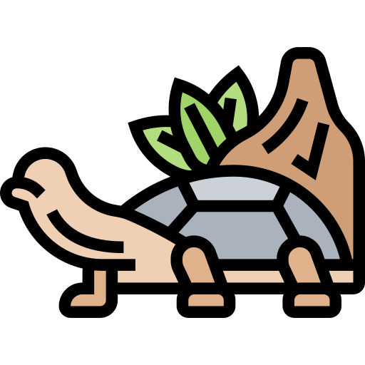 Turtle Meticulous Lineal Color icon