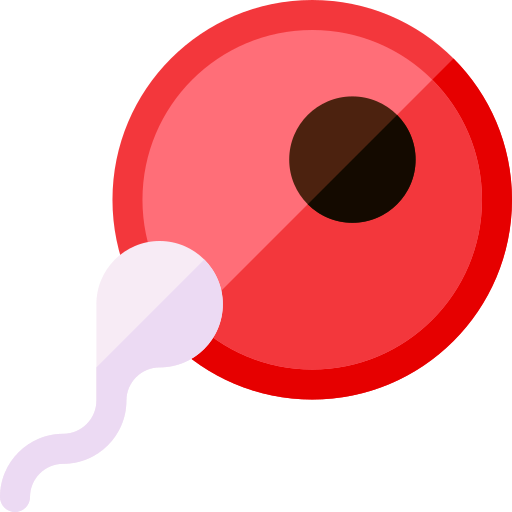 яйцеклетка Basic Rounded Flat иконка