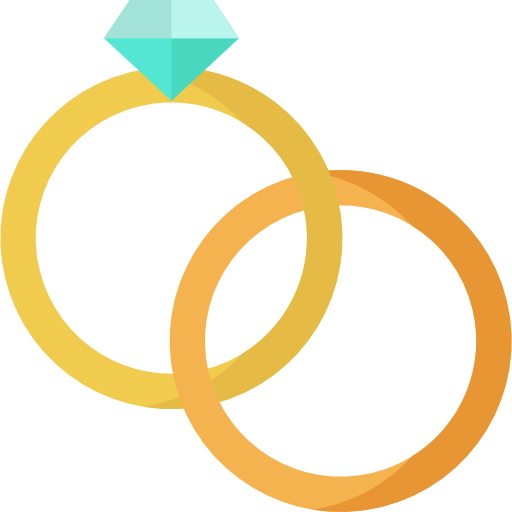 pierścienie Special Flat ikona