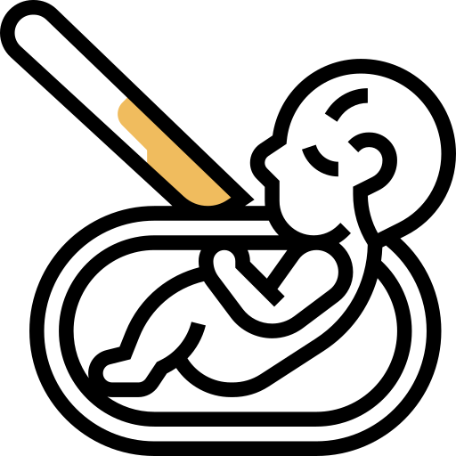 kaiserschnitt Meticulous Yellow shadow icon