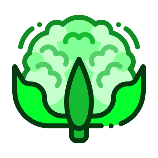 blumenkohl Generic Outline Color icon