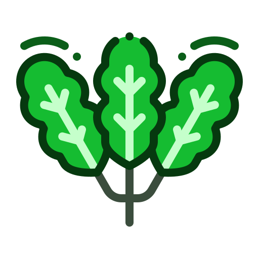 Mustard greens Generic Outline Color icon