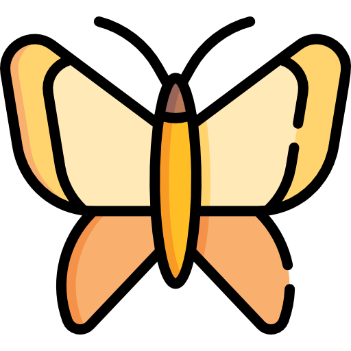 borboleta Special Lineal color Ícone