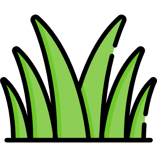 Grass Special Lineal color icon