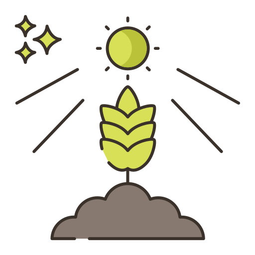 Photosynthesis Flaticons Lineal Color icon