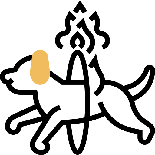 anello di fuoco Meticulous Yellow shadow icona