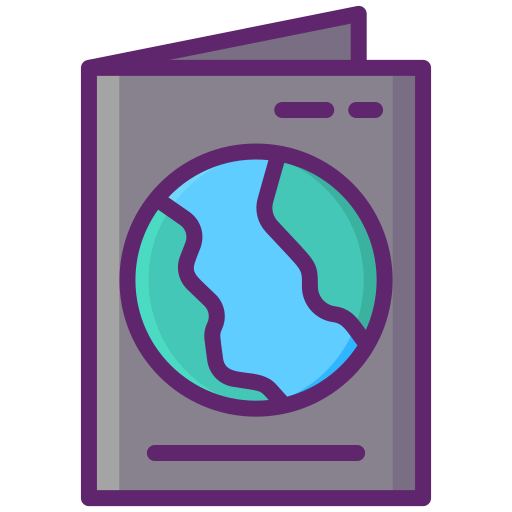 pasaporte Flaticons Lineal Color icono