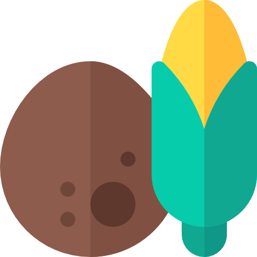 코코넛 Basic Rounded Flat icon
