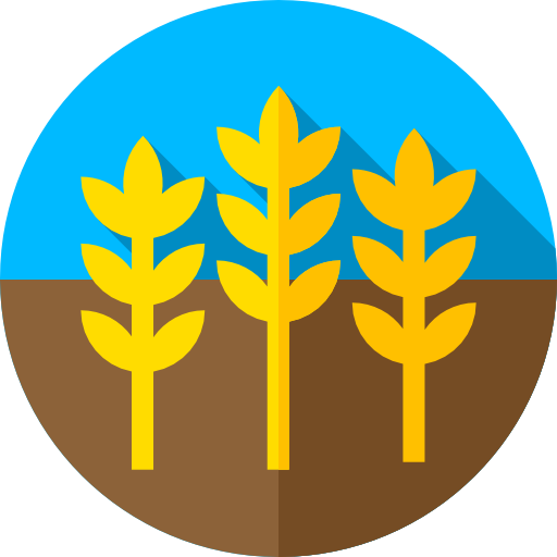 小麦 Flat Circular Flat icon