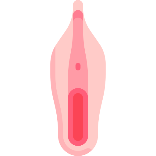 vulva Special Flat icona