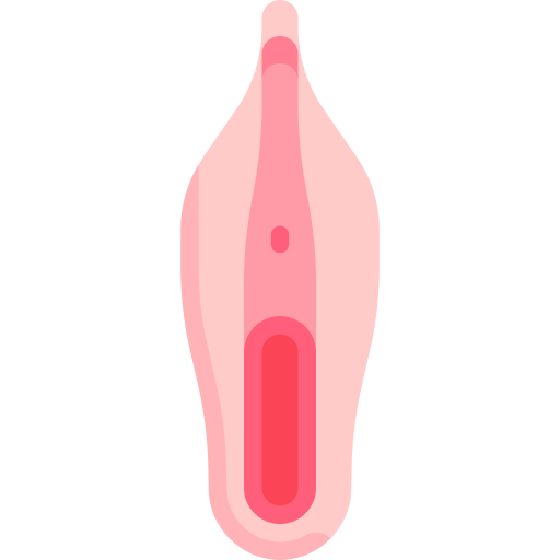 vulva Special Flat icono