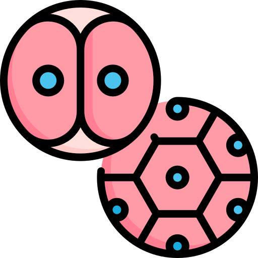 Cell division Special Lineal color icon