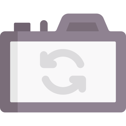 Switch camera Special Flat icon