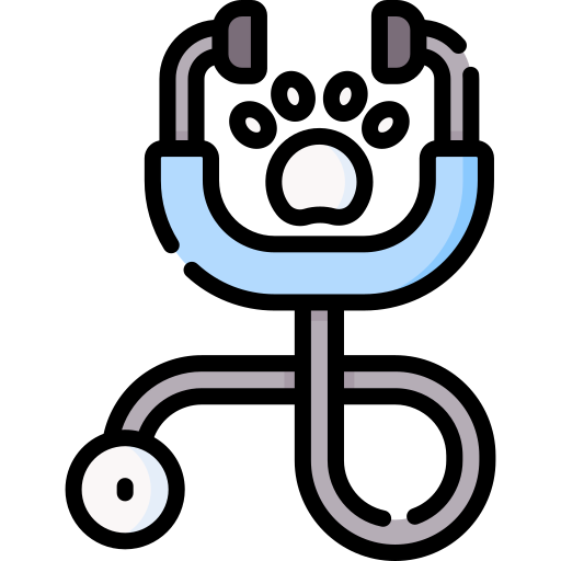 Stethoscope Special Lineal color icon