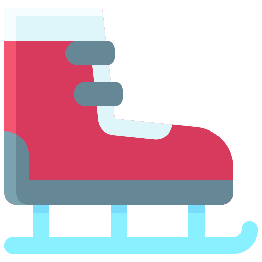 Обувь для катания на коньках Generic Flat иконка