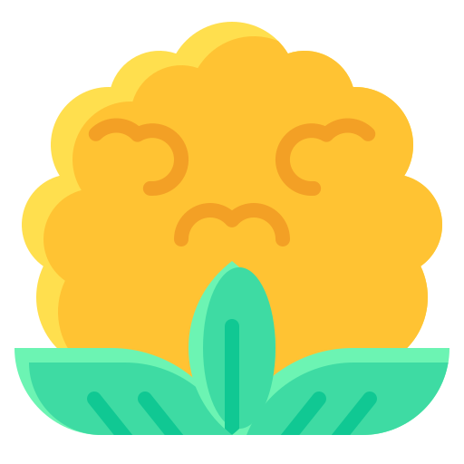 Cauliflower Generic Flat icon