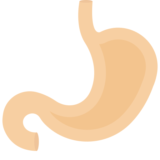 Żołądek Generic Flat ikona