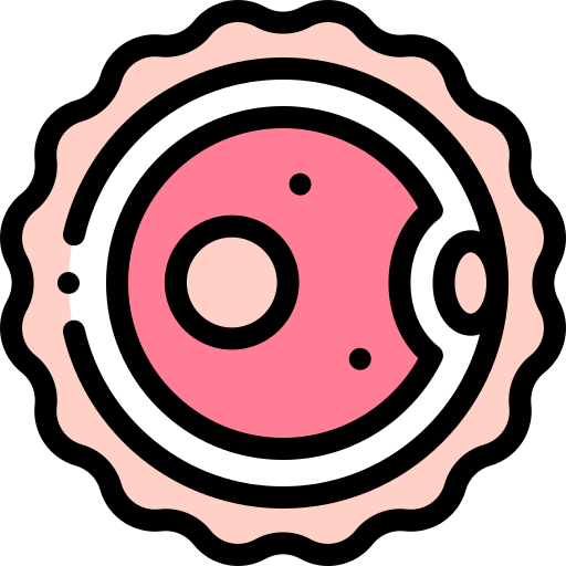 卵子 Detailed Rounded Lineal color icon