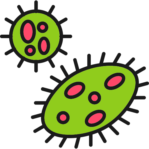 Bacteria Generic Outline Color icon