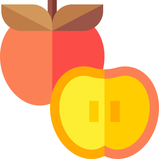 persimmon Basic Straight Flat icon