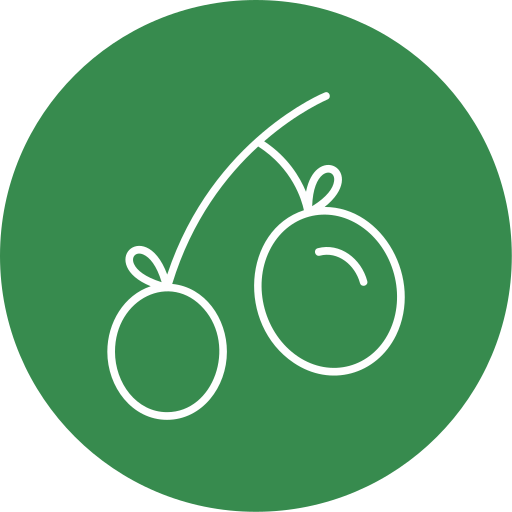 올리브 Generic Circular icon