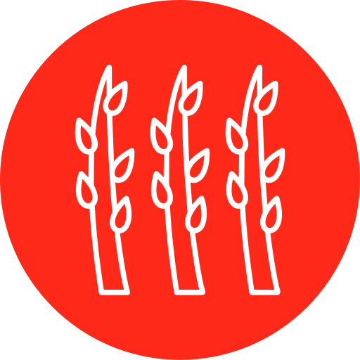 Asparagus Generic Circular icon