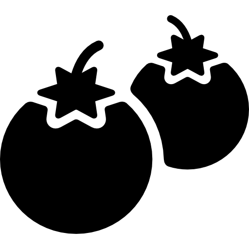 토마토  icon