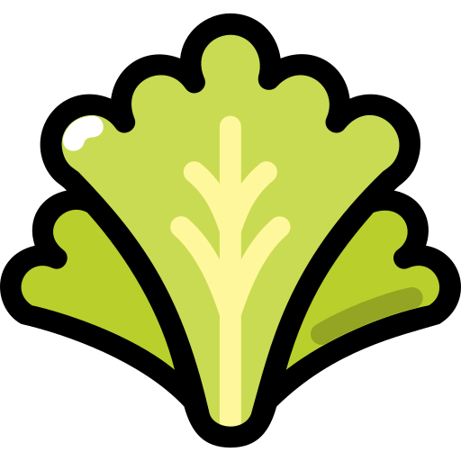 Lettuce Generic Outline Color icon