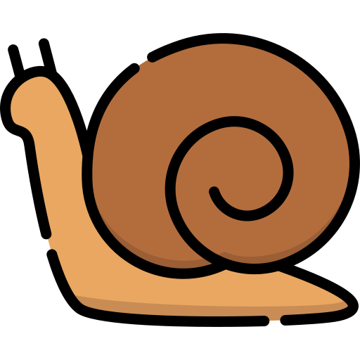 Snail Special Lineal color icon