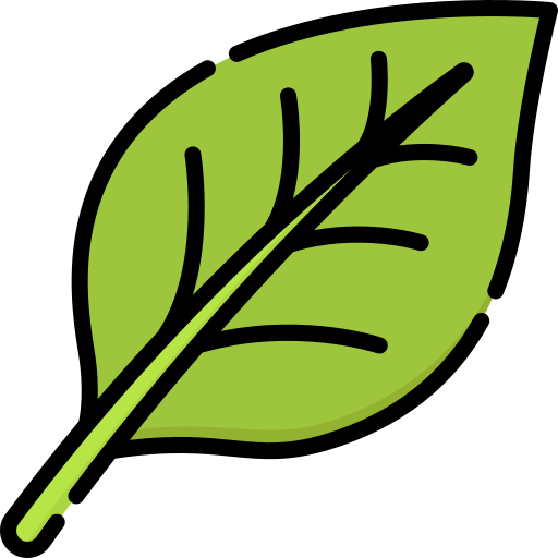 Leaf Special Lineal color icon