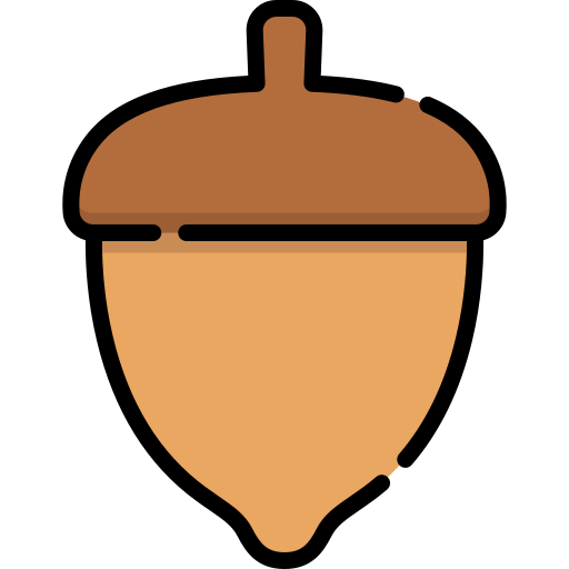 Acorn Special Lineal color icon