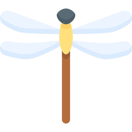 Dragon fly Special Flat icon