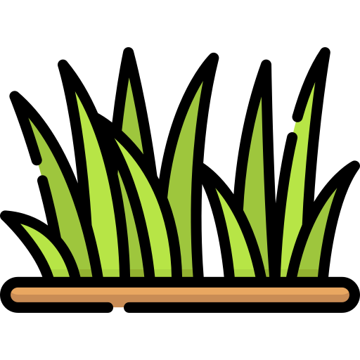 hierba Special Lineal color icono