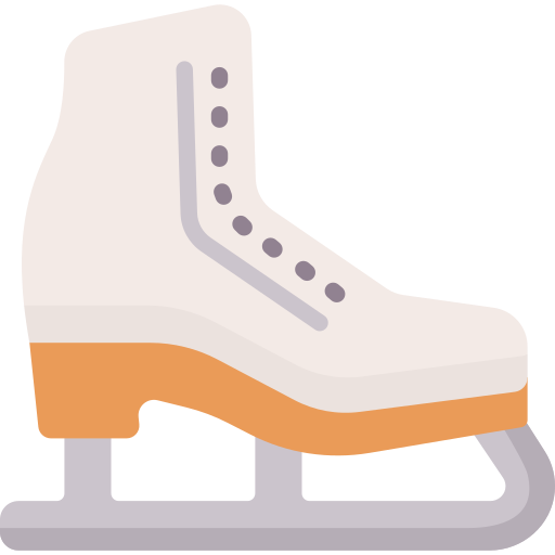 patins à glace Special Flat Icône