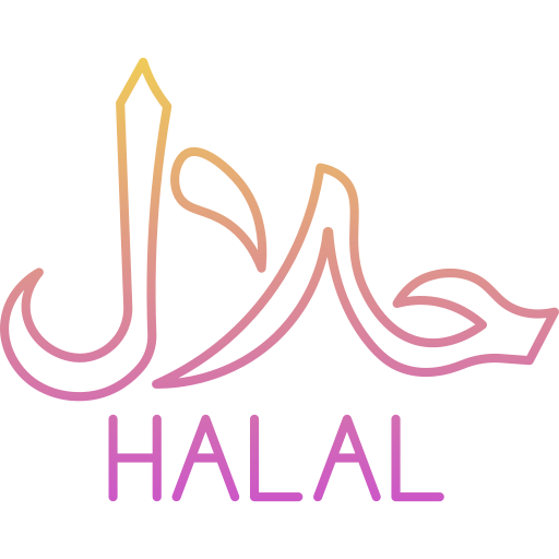 Halal Generic Gradient icon