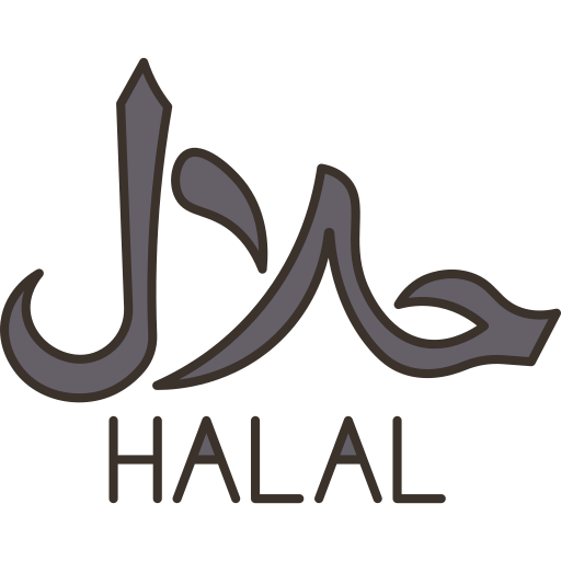 Halal Amethys Design Lineal Color icon