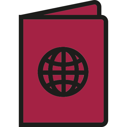 passeport Generic Outline Color Icône