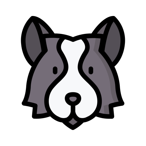 border collie Generic Outline Color icon