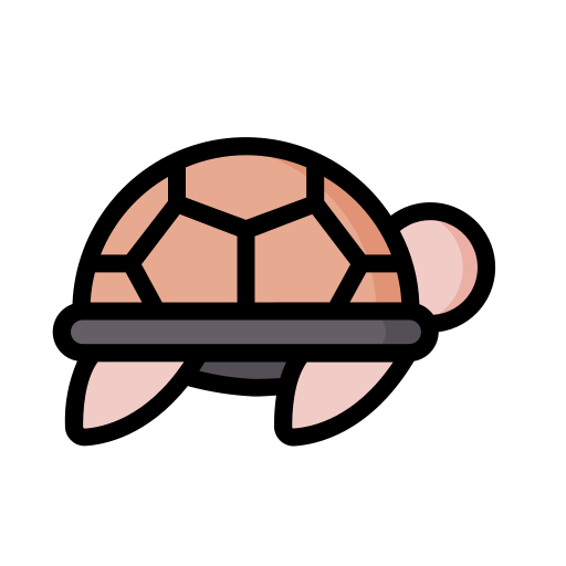 tortue Generic Outline Color Icône