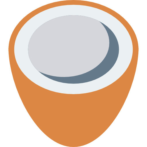 Coconut Dinosoft Flat icon