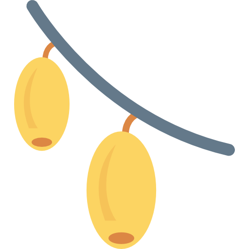 манго Dinosoft Flat иконка