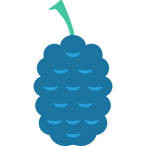 Raspberry Dinosoft Flat icon