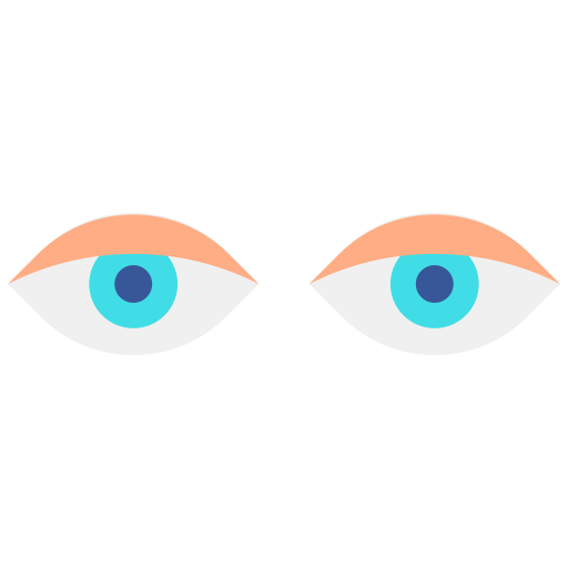 Eyes Generic Flat icon