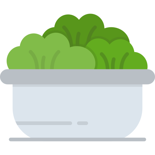 salade Generic Flat Icône