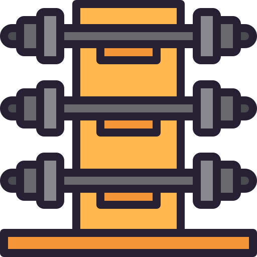 Barbell Generic Outline Color icon