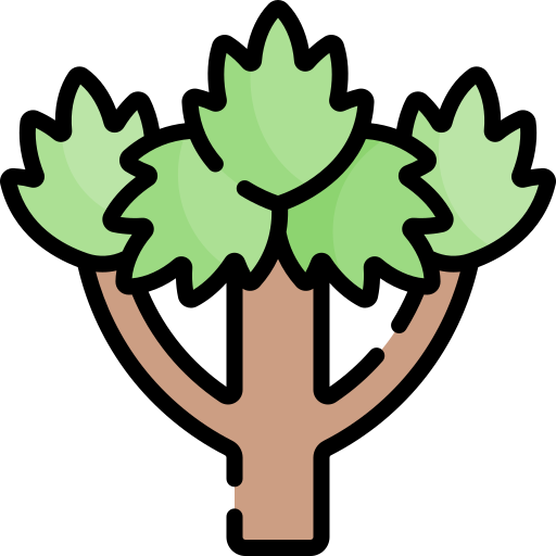 Хлебное дерево Kawaii Lineal color иконка