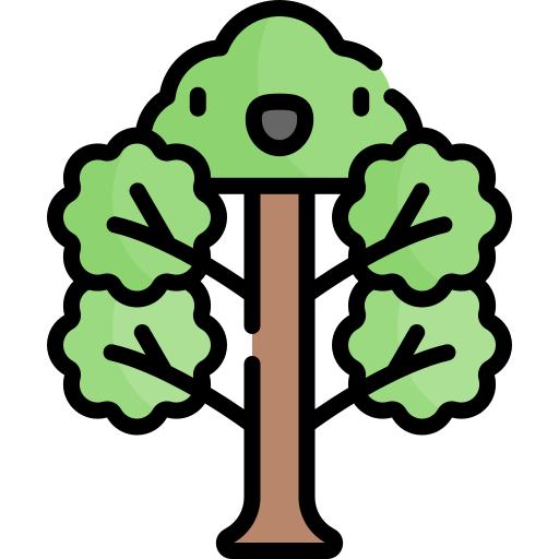 Poplar Kawaii Lineal color icon