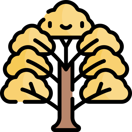 Bitternut hickory Kawaii Lineal color icon