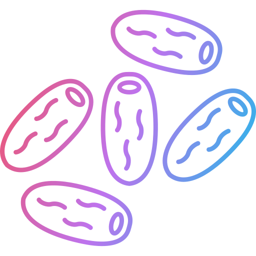 date Generic Gradient icona