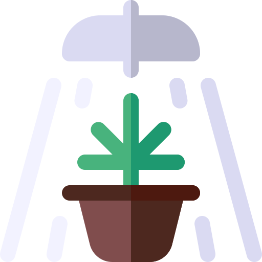 Выращивание Basic Rounded Flat иконка